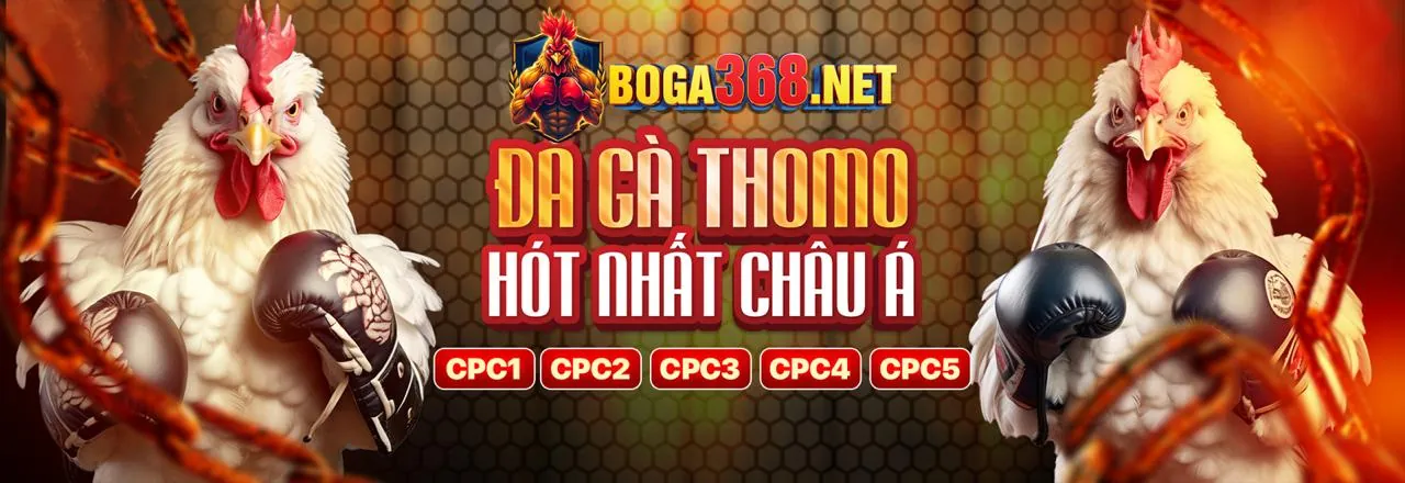 Máy đánh bạc 8win chính thức