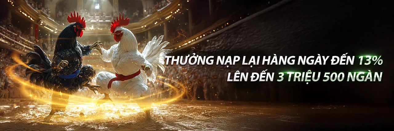 Sân chọi gà trực tuyến 8win chính thức