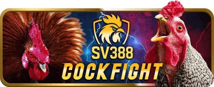 Người chơi chuyên nghiệp phân tích dữ liệu cá cược tại 8win chính thức